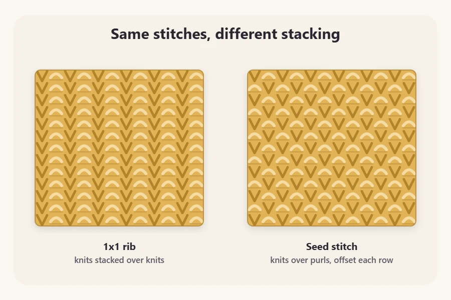 Seed stitch and 1x1 ribbing compared: stitches stacked in columns for rib, offset for seed